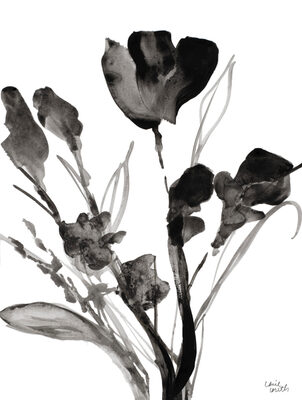 Image Not Available